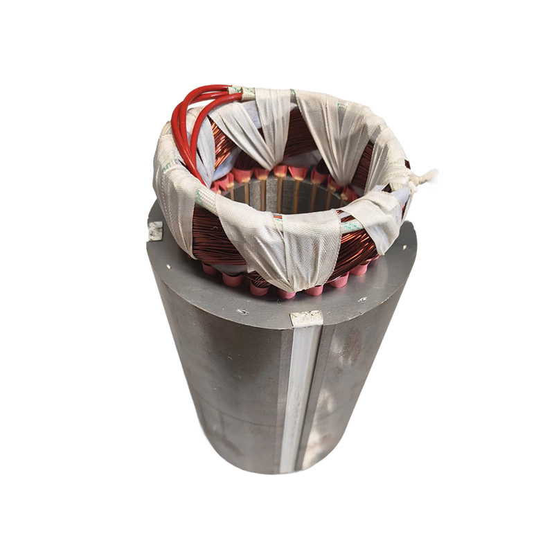 Cleaning Machine Motor Coil